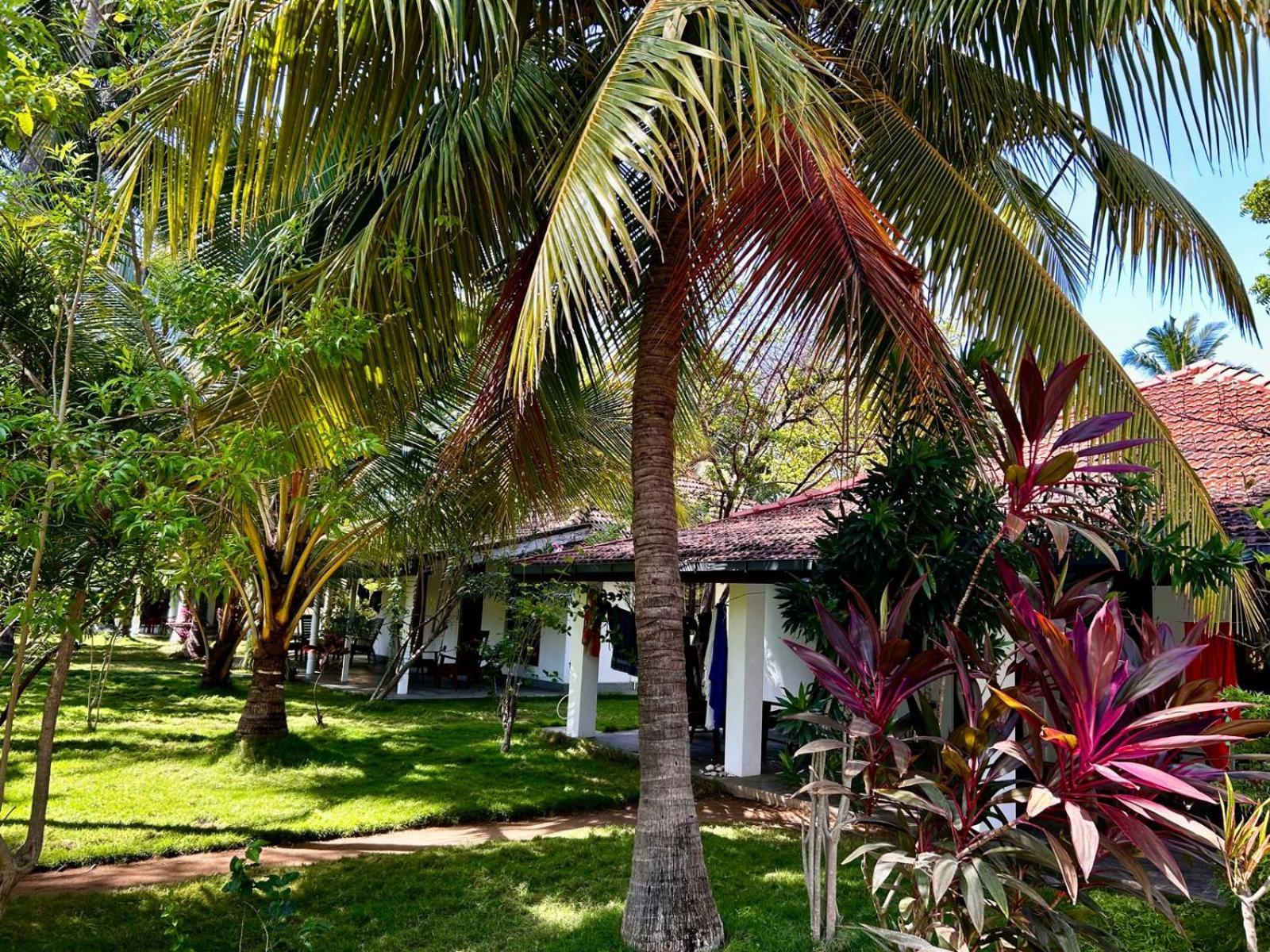 108 Palms Beach Resort Trincomalee Exterior foto